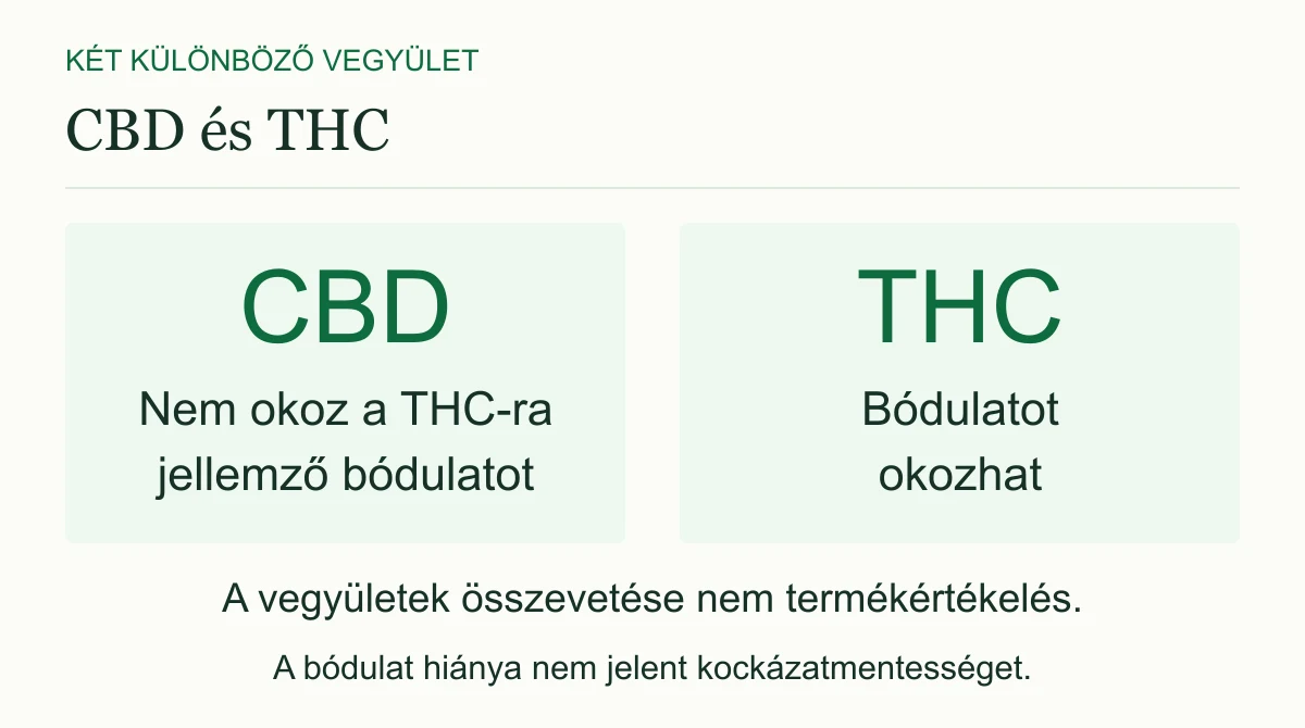 A CBD nem okoz a THC-ra jellemző bódulatot. A THC bódulatot okozhat. Az ábra vegyületeket hasonlít össze, nem kész olajok biztonságosságát értékeli.